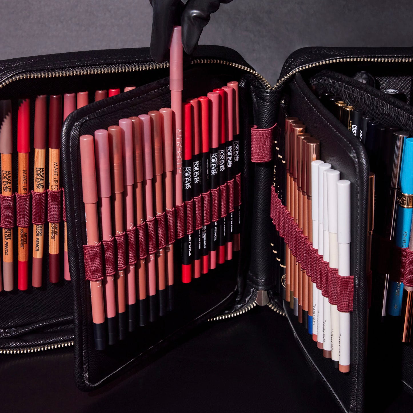 THE ARTIST CASE