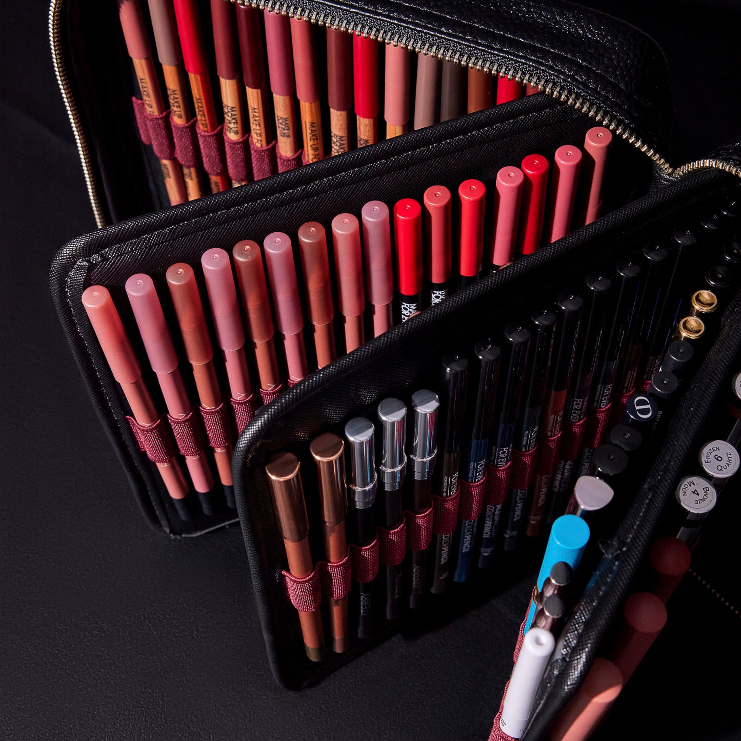 THE ARTIST CASE